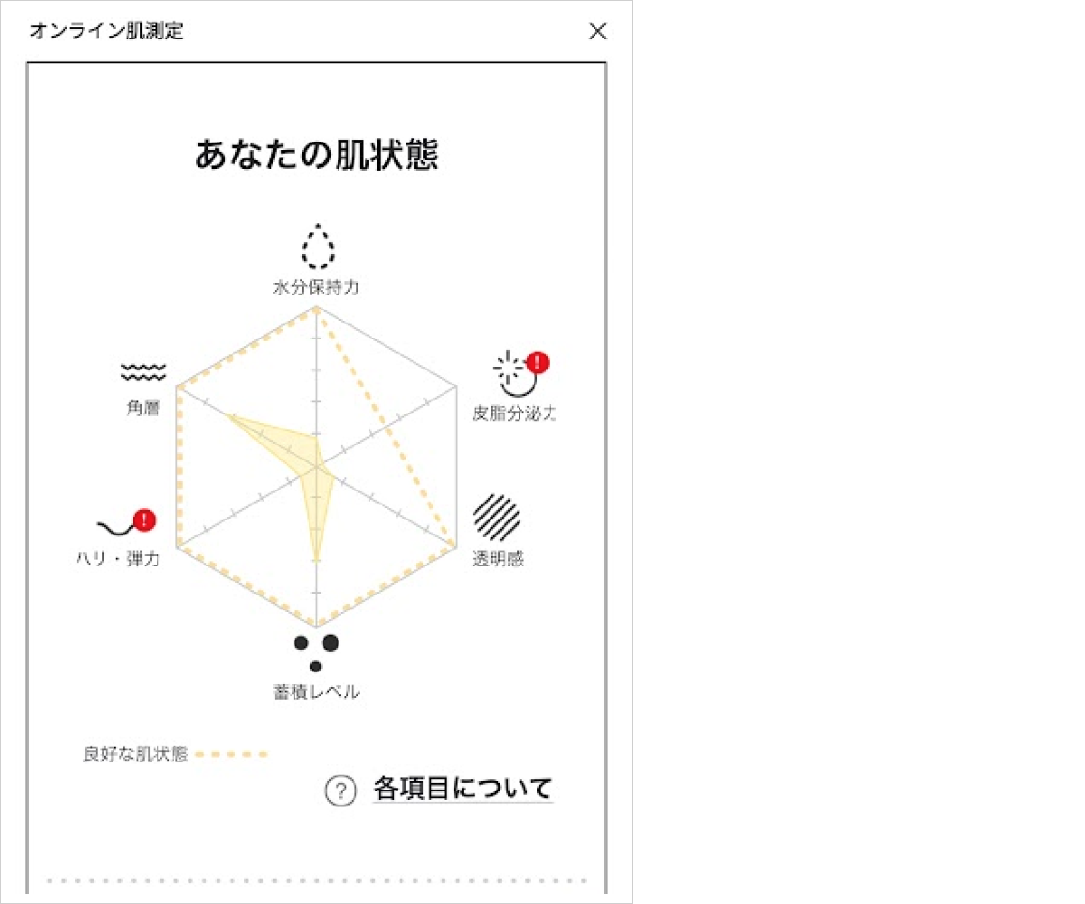 イプサの「オンライン肌測定」