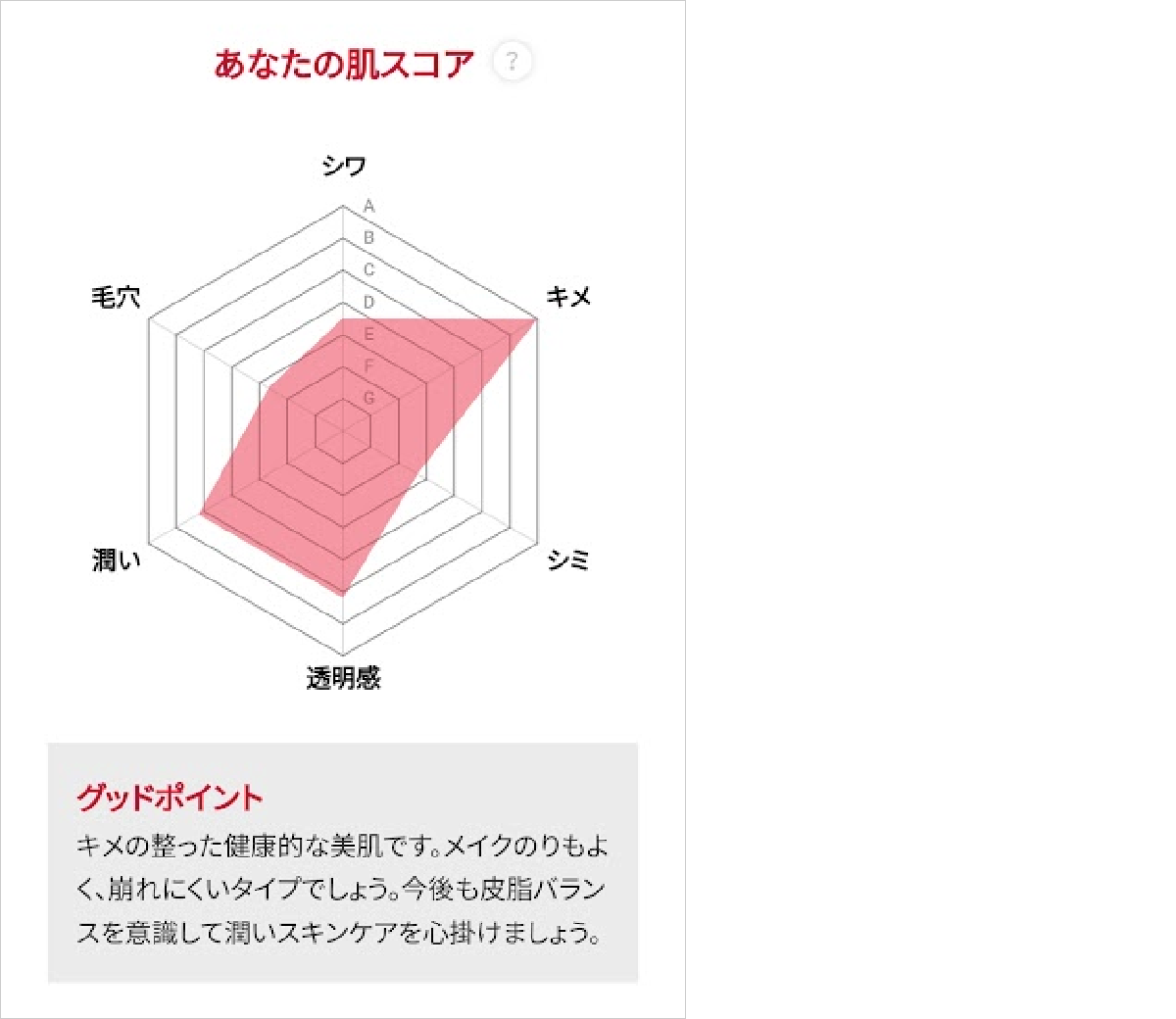 ASTALIFT 肌チェック