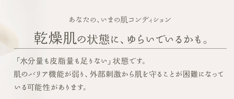 診断を通してユーザーの問題を提起する肌診断の例 